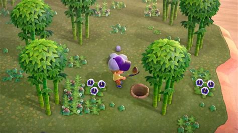 How To Farm Bamboo Shoots Animal Crossing